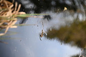 Frosch Wellness Frosch Wellness