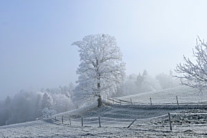 Allein im Atem der Stille