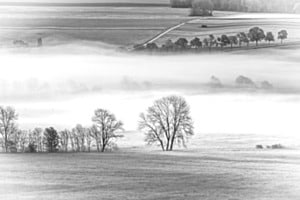 Les allées du Val-de-Ruz dans la brume