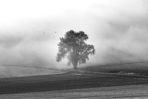 Brume au Val-de-Ruz