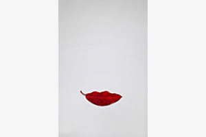 Kiss Kiss