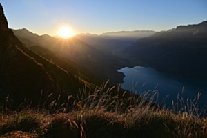 Guten Morgen