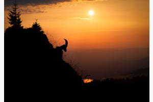 Abendstille