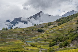 Wallis