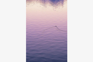 Traces sur le lac Traces sur le lac