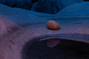 Rotlicht in der blauen Stunde