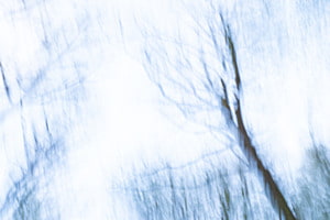 Stille