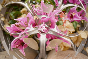 Flora Meccanica