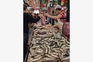 Sardinen