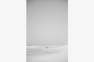 Lonely Lonely