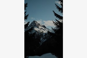 Arosa Arosa