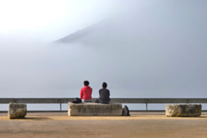 Blick in den Nebel Blick in den Nebel