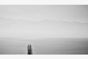 Genfersee Genfersee