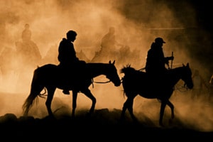 Where the Dust Turns Gold Where the Dust Turns Gold