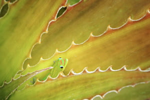 Versteckt