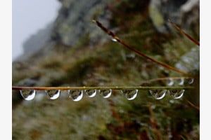 Verkehrte Wassertropfenwelt