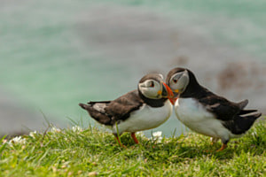 Liebe ist..... Liebe ist.....
