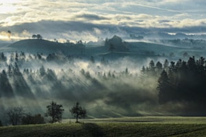 Nebel im Feld und Wald Nebel im Feld und Wald