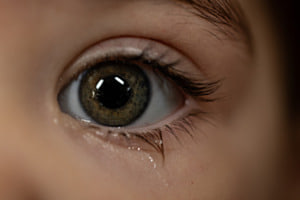 Emotionen
