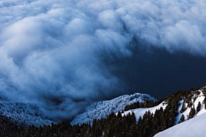 Blick in den Nebel Blick in den Nebel