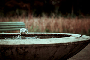 Sihlfeld Cemetery Still Waters