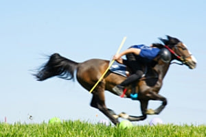 Faster ! Faster !