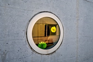 Fenster