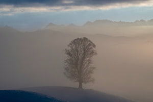 Weitblick