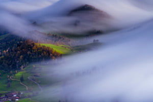 Fogwave Fogwave