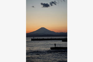 Enoshima Fisherman