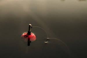 Geduld