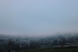 Geisterwald 
