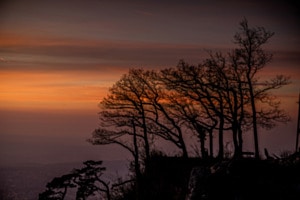 Abendstimmung Abendstimmung