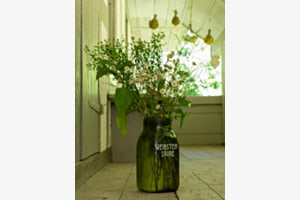 Grüne Vase