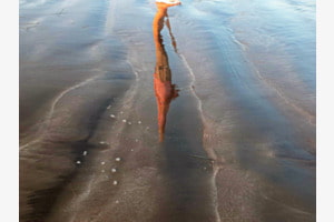 Handstand im Wasser? Handstand im Wasser?