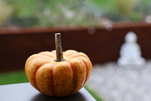 Herbst