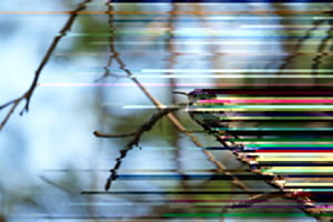 Z̷̧̡̖̝̬͍͕̬͙͔̙͍̠̱̮͚͕̪̤͇͑̿̒̈́̿̒̈́͂̀̃͑̿͂́̏̍̓͋͊́͐̈̉͘͝͝͝ͅŵ̴̧̢̢̧̖̘͎̬͇̤̥͓͉̰̺̲̟̙̠̖̗̠̼͉̔̌̽̏͛́̓͗̔͌͐̏͑̐̅͗̚e̷̛̱͈̞̮̩̭̯̝̦͎͇͖̣͚̳͋̃̌̂͊̐̆͆͛͂͗͠ȓ̵̨̢̗͉̹̫̟̘̟̝̮͔̰̜͉̲͇̙̦͇̟͔̤̮͉̥͈̲̪͇̳͕̊͑̑̌͛́́̿̈́͠g̷̛̰͇̹̗͓̀̏̑̏̍̓̀͛̅̔́͑͒̓̽͗́̐ͅȩ̴̛̟̩̠̬͕̲̭̝͖̹͚͔͙̙̻͍̱͖̗̩̯̞͖̰̞̰̟̍̃̈́͒̄̕͜͠l̴̃̔̄̿̇́̍̿̓̽̅̂̆̀̾̔̀͝