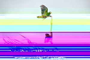 H̴̨̪̿į̴̛̿s̶̨̫̉͂p̴̯̄̏a̶̺͐ͅń̴̞ḯ̵̼o̸̗͙̾́l̶̤͑ā̶͖̠͌ä̸̻́̎ͅm̶̳̞͂́a̶̤͇͌̄z̶͔̾o̷̝̺͒͛n̷̙̾̇e̸̜͇̎͘