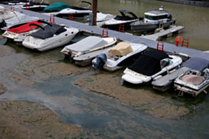 Hafen in Trockenzeiten