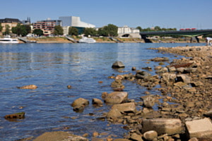 Der Rhein im Sommer 2026