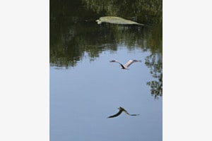 Abflug