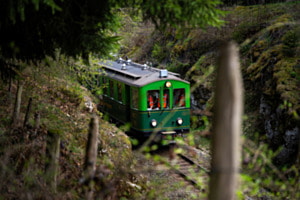 Durch das Nadelöhr Durch das Nadelöhr