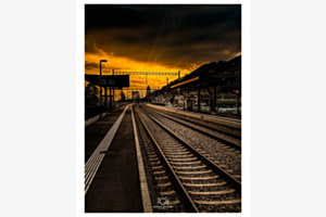 Der Sonne entgegen Der Sonne entgegen