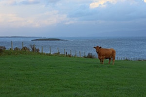 Irland Irland