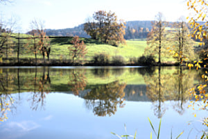 Bettenauer Weier