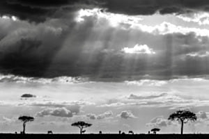 Nuages noirs sur Masai Mara