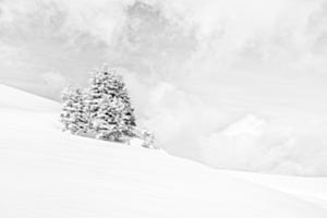 Winterwäldchen Winterwäldchen