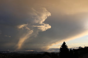 In der Abendsonne