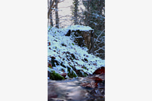 Bach im Winter 