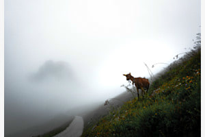 Blick zurück